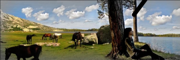 Creation of wild horses: Step 8